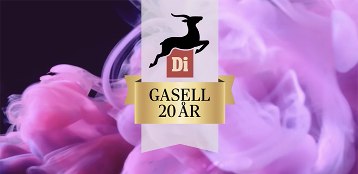 di-gasell-2019
